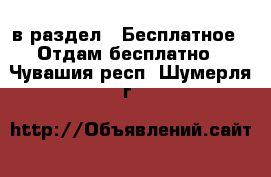 в раздел : Бесплатное » Отдам бесплатно . Чувашия респ.,Шумерля г.